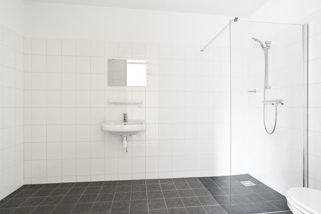 Spacious apartment with roof garden in De Kameleon - Image 3