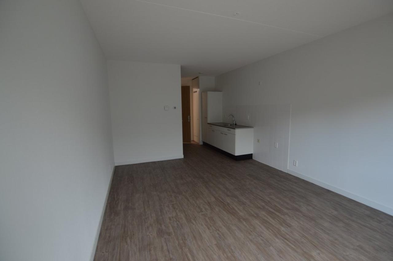 Self-contained student studio in Kamperpoort - Image 3