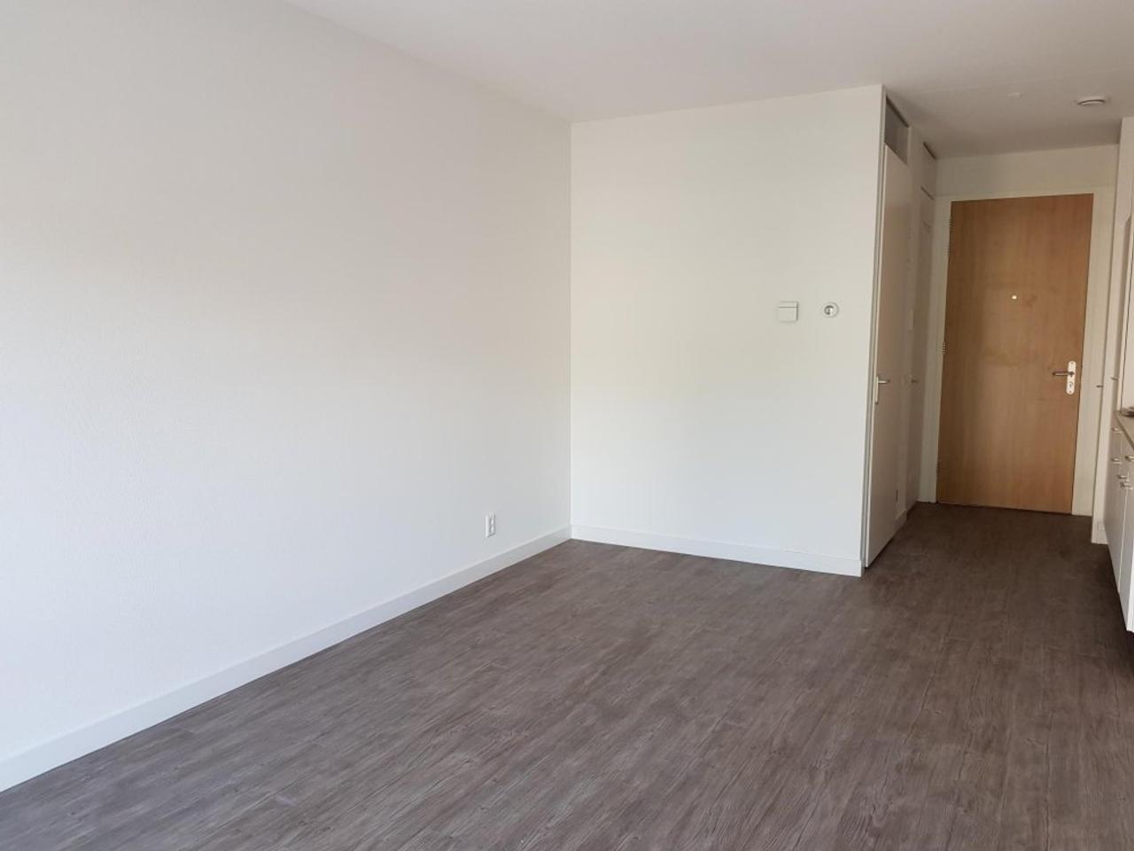 Self-contained student studio in Kamperpoort - Image 4