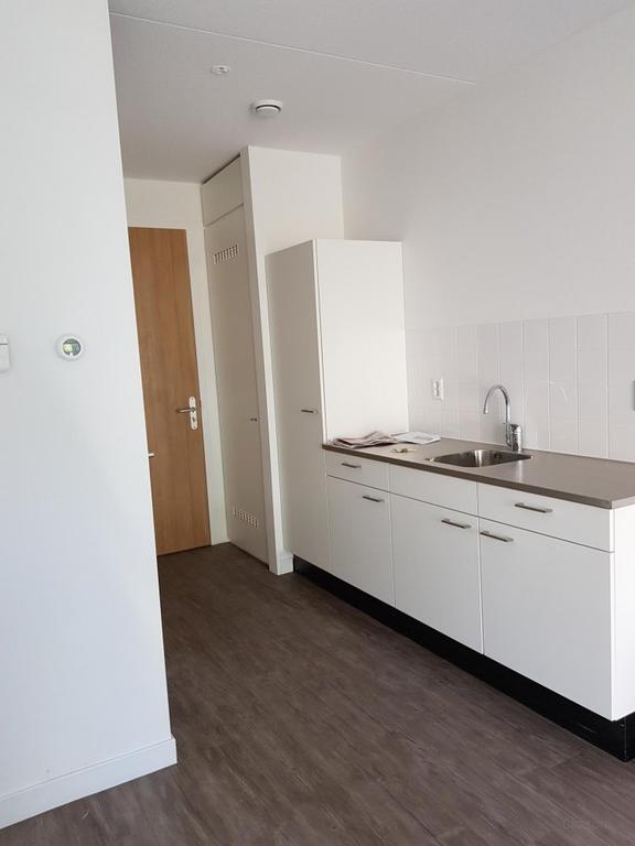 Self-contained student studio in Kamperpoort - Image 5