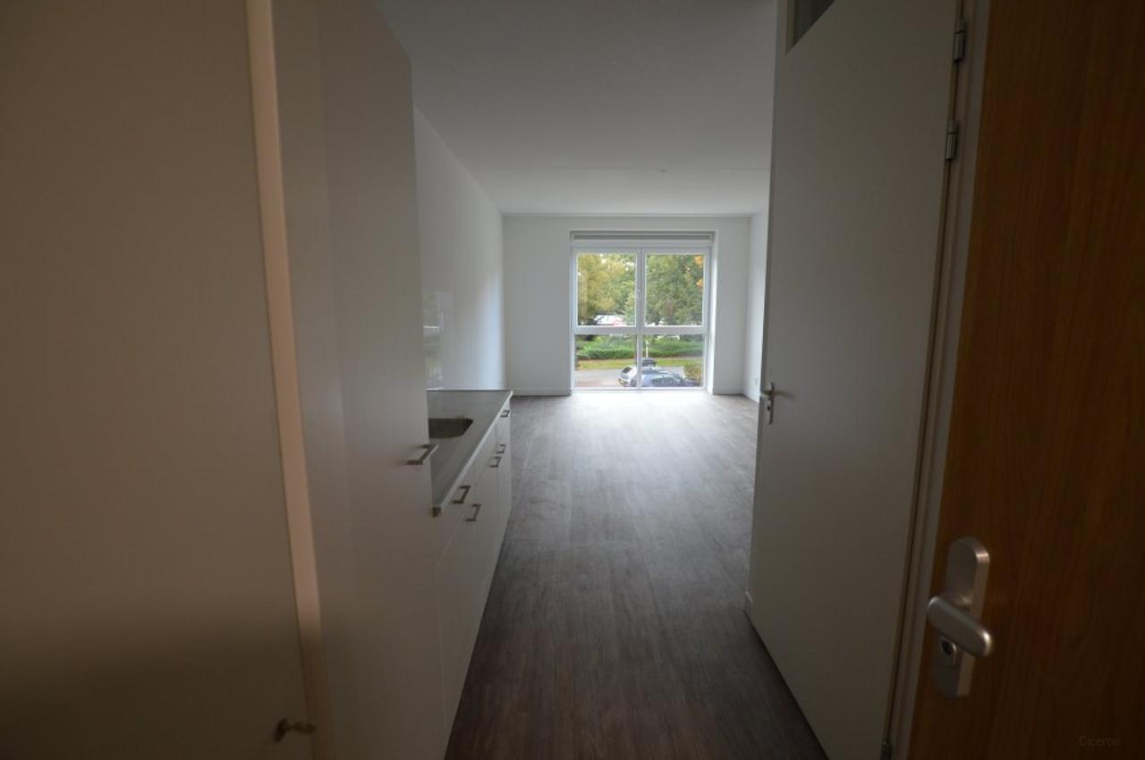 Self-contained student studio in Kamperpoort - Image 1