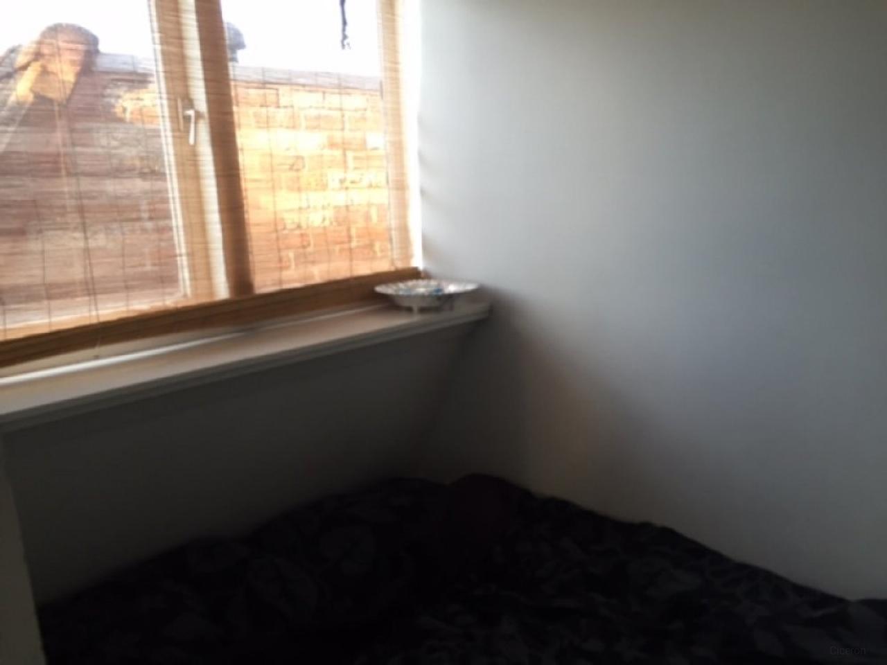 Apartment with separate bedroom in Zwolle - Image 8