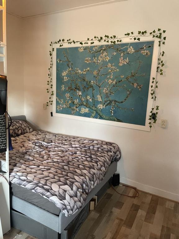 Spacious room (22m²) with balcony in Oud-Assendorp - Image 5