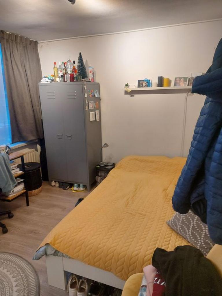 Studentenkamer van 20 m² met tuin in Tilburg - Afbeelding 3