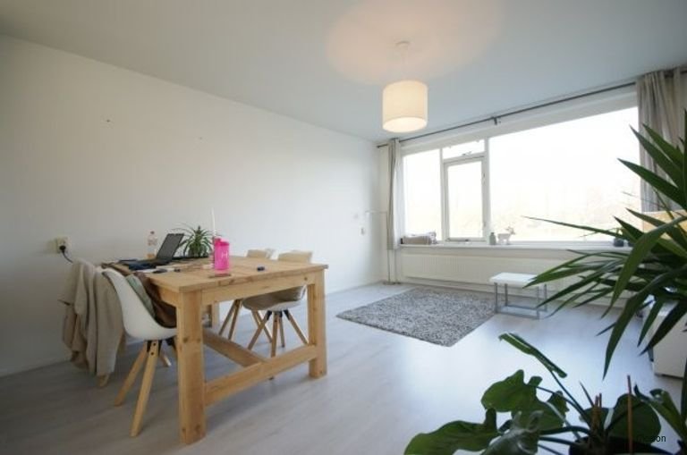 4-kamer appartement met zicht op Liniepark - Afbeelding 6