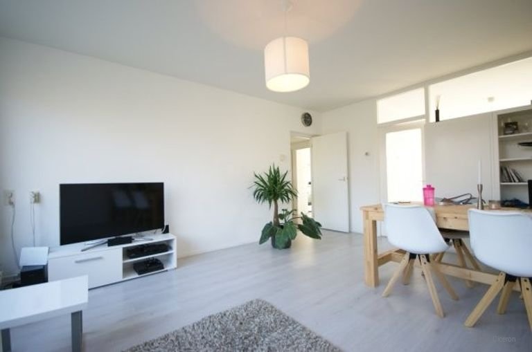 4-kamer appartement met zicht op Liniepark - Afbeelding 5