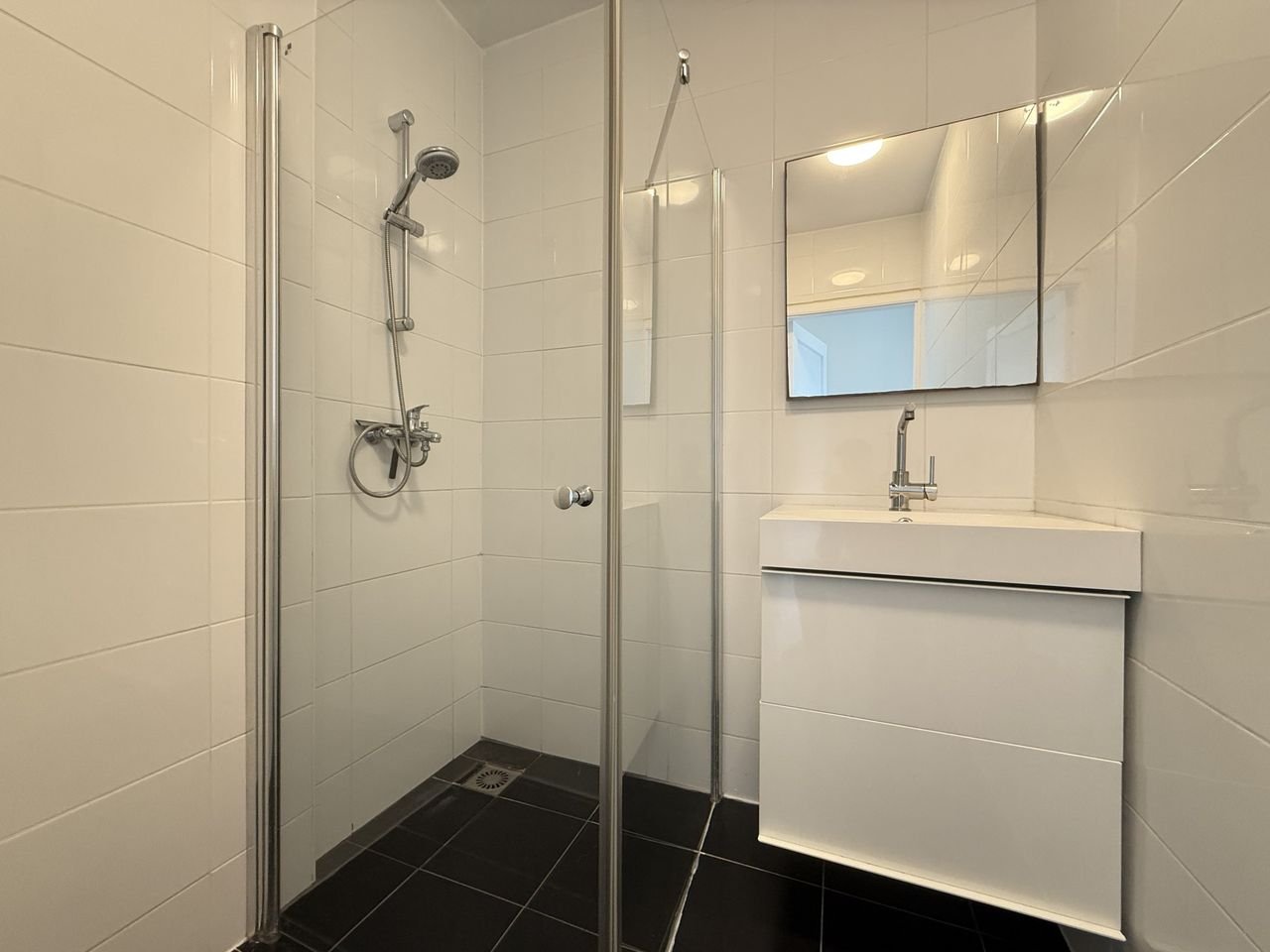 Royaal 4-kamer studentenhuis in Leyenburg - Afbeelding 4