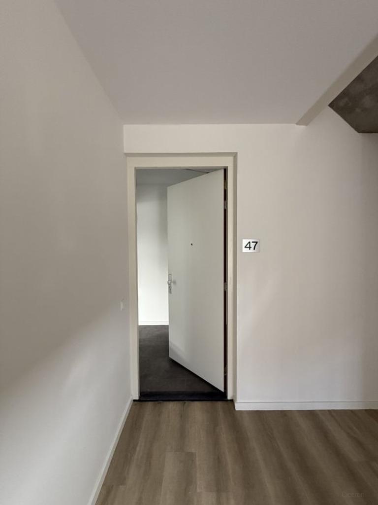 118 m² Apartment with Garden in Eindhoven - Image 2
