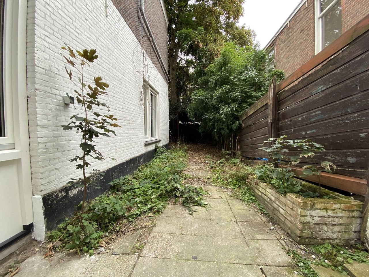 Regentesselaan: Ground floor apartment with garden - Image 21