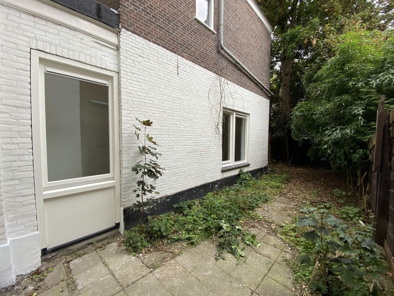 Regentesselaan: Ground floor apartment with garden - Image 19