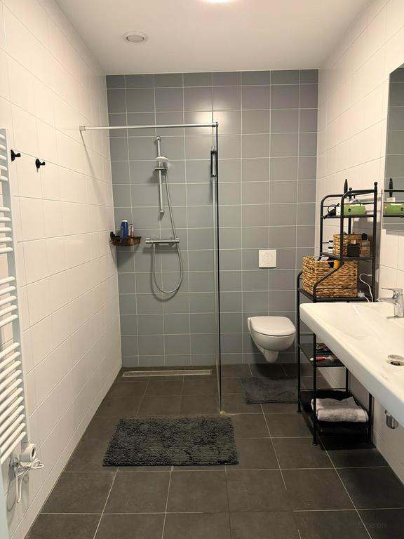Wonen aan de Maas met terras en uitzicht - Afbeelding 6