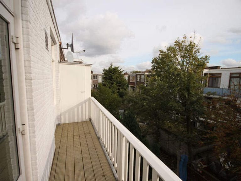 4-kamer topappartement bij Zuiderpark - Afbeelding 6