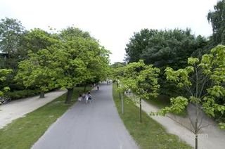 Riant bovenhuis in de P.C. Hooftstraat - Afbeelding 24