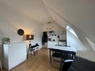 Room with private kitchen in Schildersbuurt - Image 3
