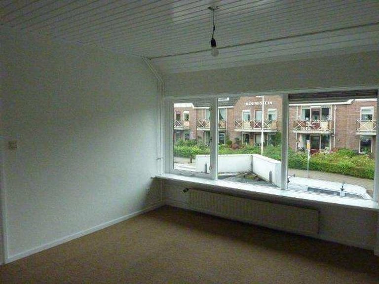 Gerenoveerd appartement bij het bos - Afbeelding 1