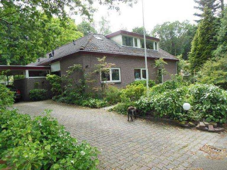 Vrijstaand huis in het bos - Afbeelding 1