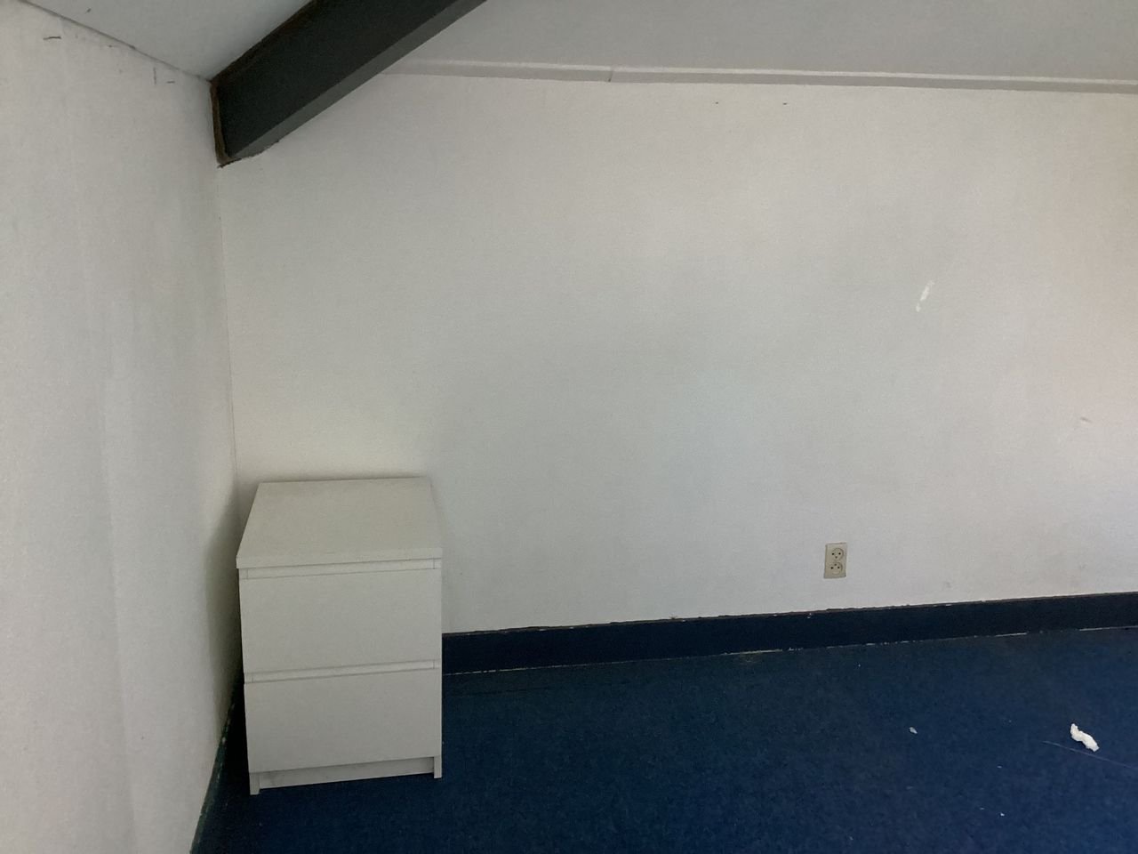 Student Room with Garden in Rijswijk - Image 6