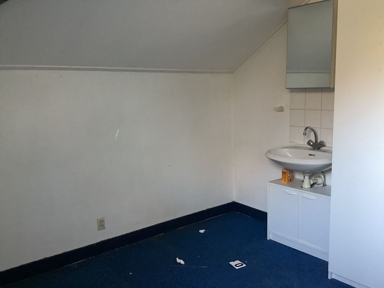 Student Room with Garden in Rijswijk - Image 5