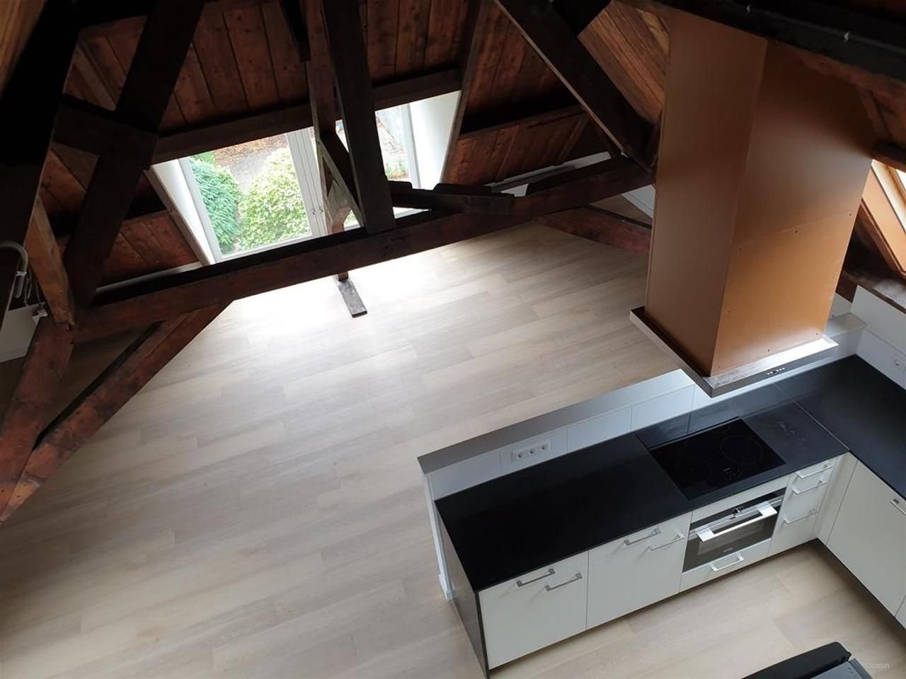 Penthouse in voormalige school (1904) - Afbeelding 6