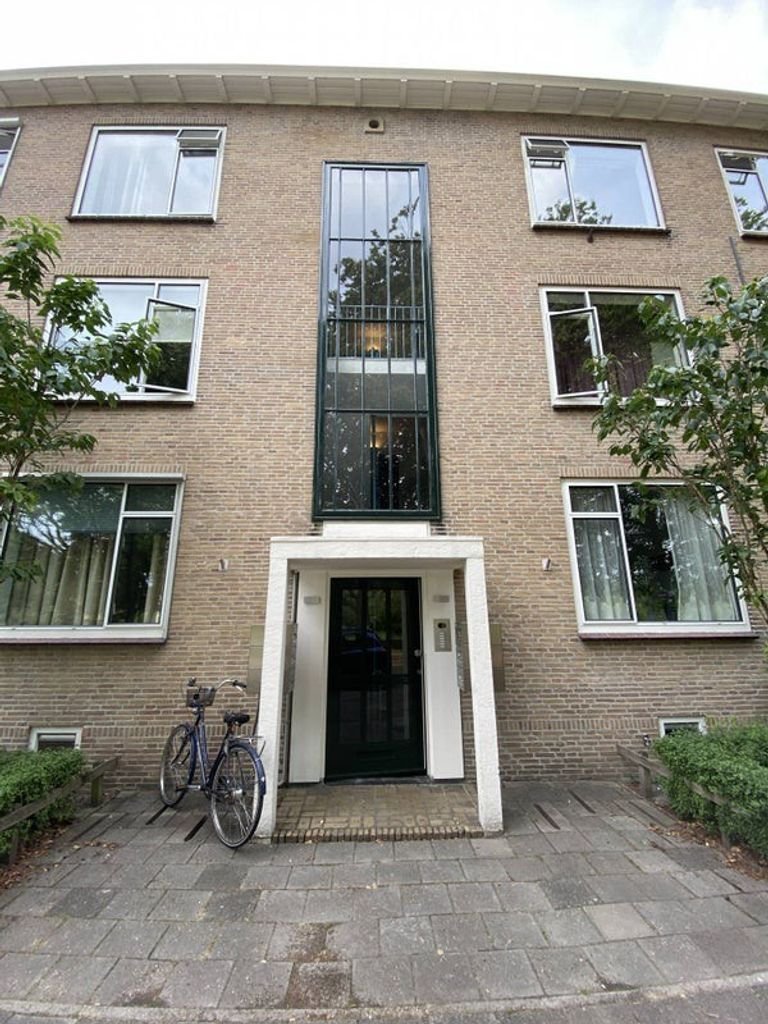 Uitzicht op het Boeimeerpark in Breda - Afbeelding 2