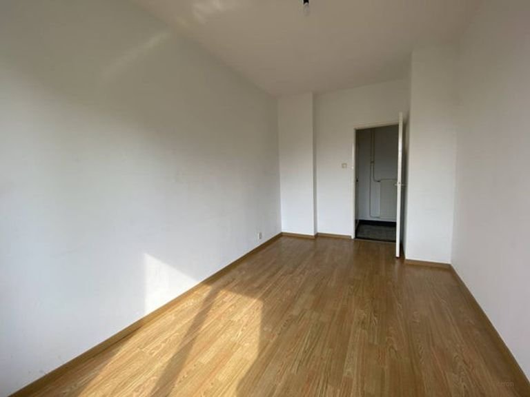 Uitzicht op het Boeimeerpark in Breda - Afbeelding 11