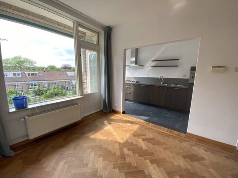 Uitzicht op het Boeimeerpark in Breda - Afbeelding 8