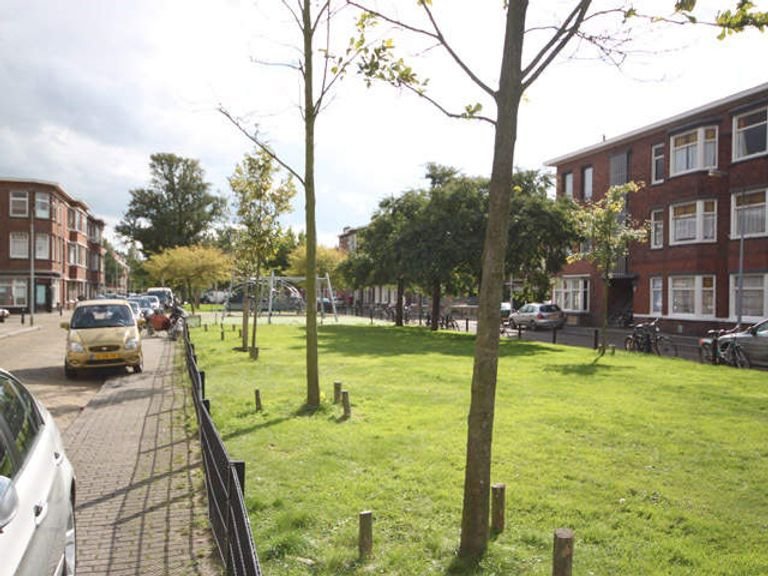 Fijn 3-kamerappartement in Laakkwartier - Afbeelding 13