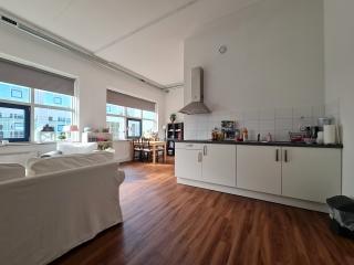 Bright corner apartment of 52 m² near Nieuwe Plantsoen - Image 3