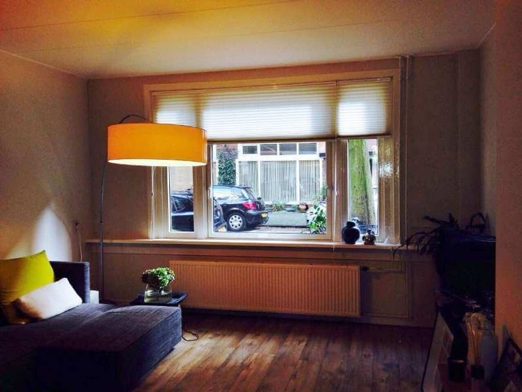 Rivierenbuurt: Benedenhuis met grote tuin - Afbeelding 1