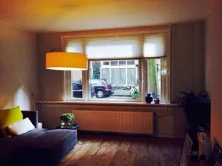 Rivierenbuurt: Benedenhuis met grote tuin