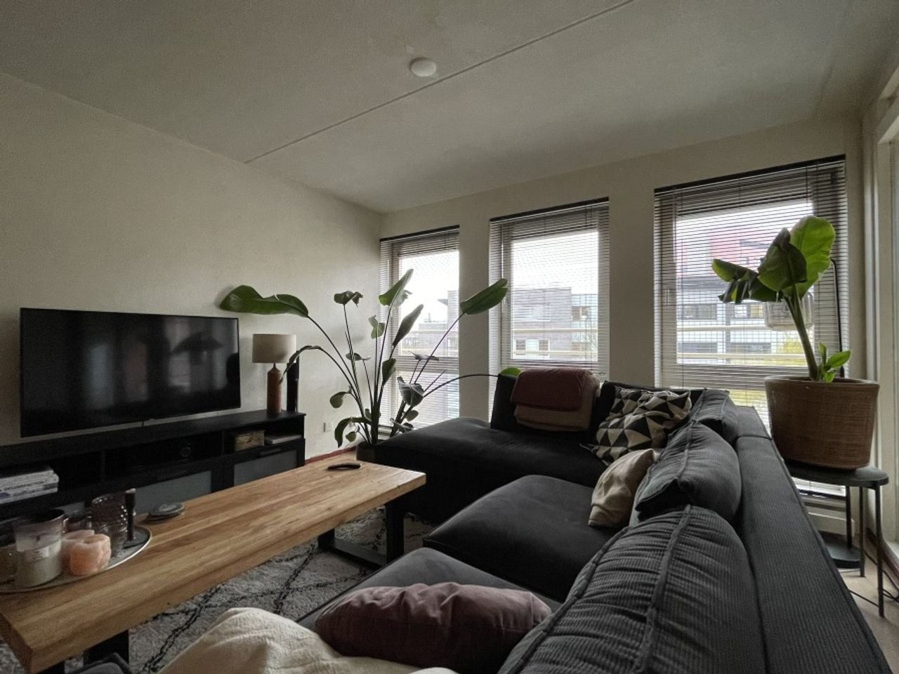 Bright 3-room apartment with parking space in Deventer - Image 2