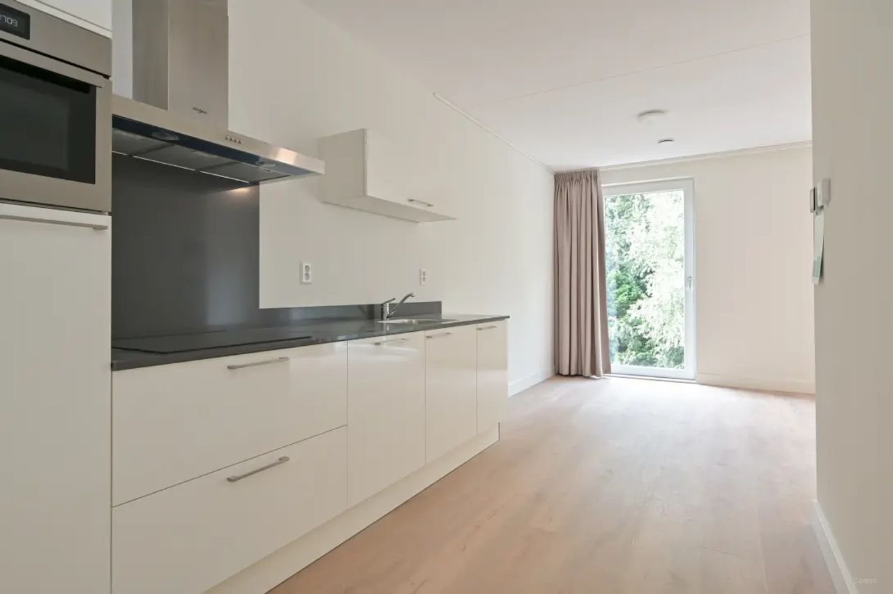 Modern and energy-efficient living near Laan van NOI station - Image 3