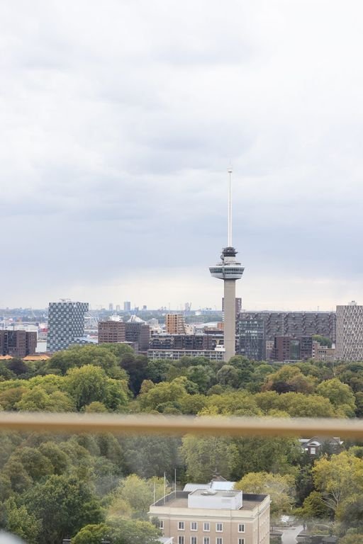 Spacious Penthouse with Maas River View (303 m²) - Image 36
