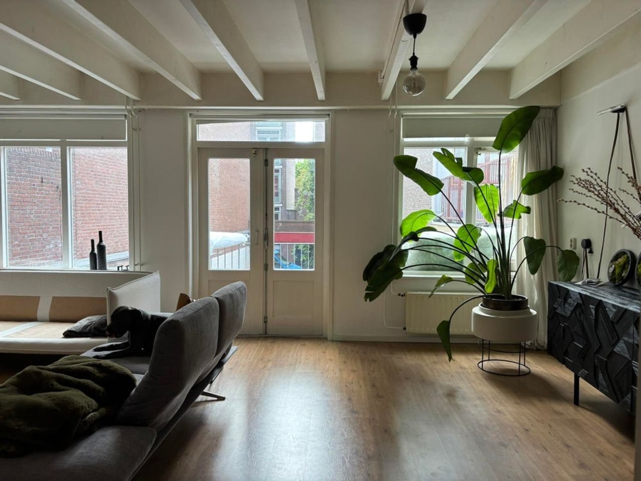 Centrum Den Haag: 3 kamers & balkon - Afbeelding 3