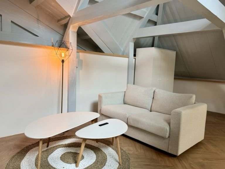 Gemeubileerde loft met terras in centrum Dordt - Afbeelding 13