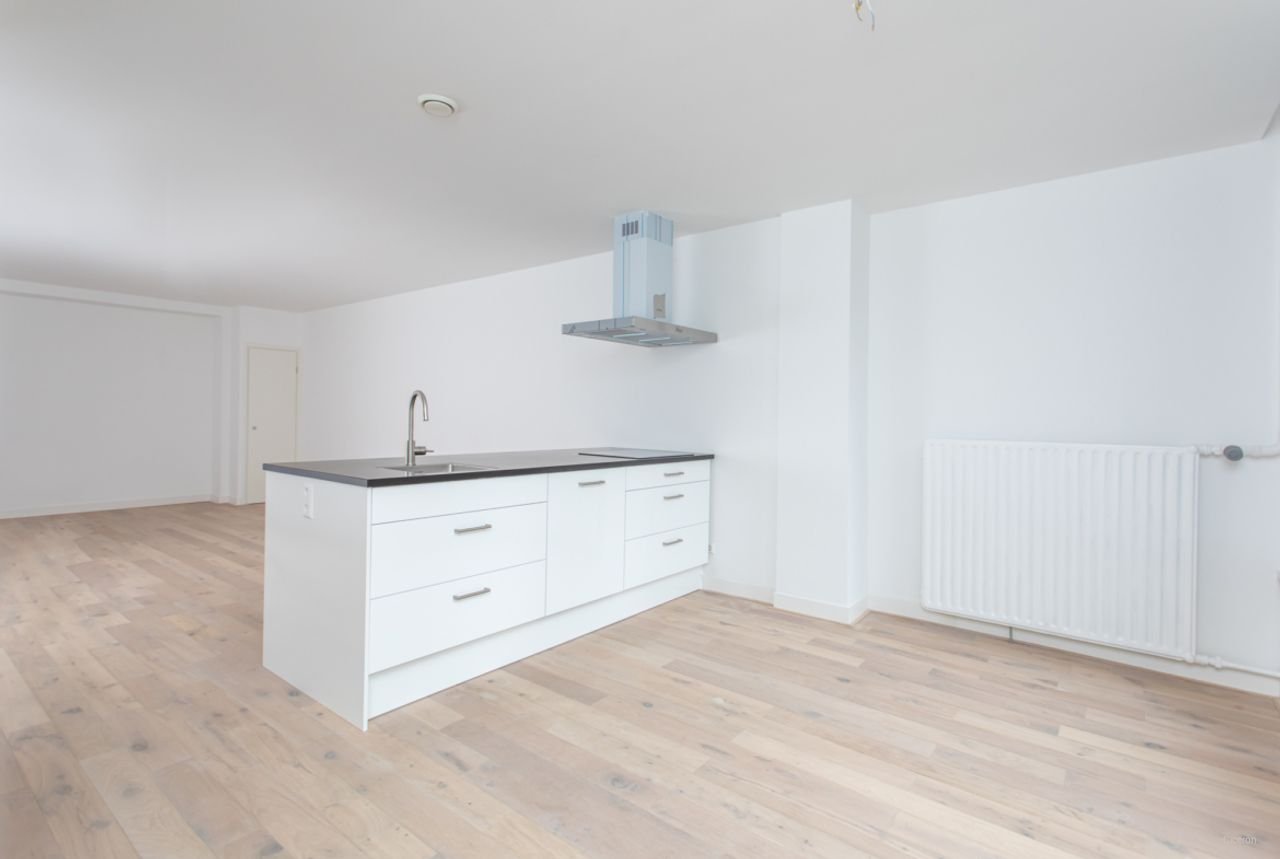 Basement apartment with garden and kitchen island on the Westzeedijk - Image 8