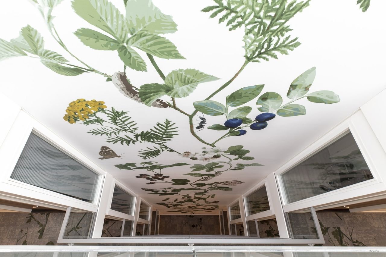 Royaal 3-kamer appartement met binnentuin - Afbeelding 6