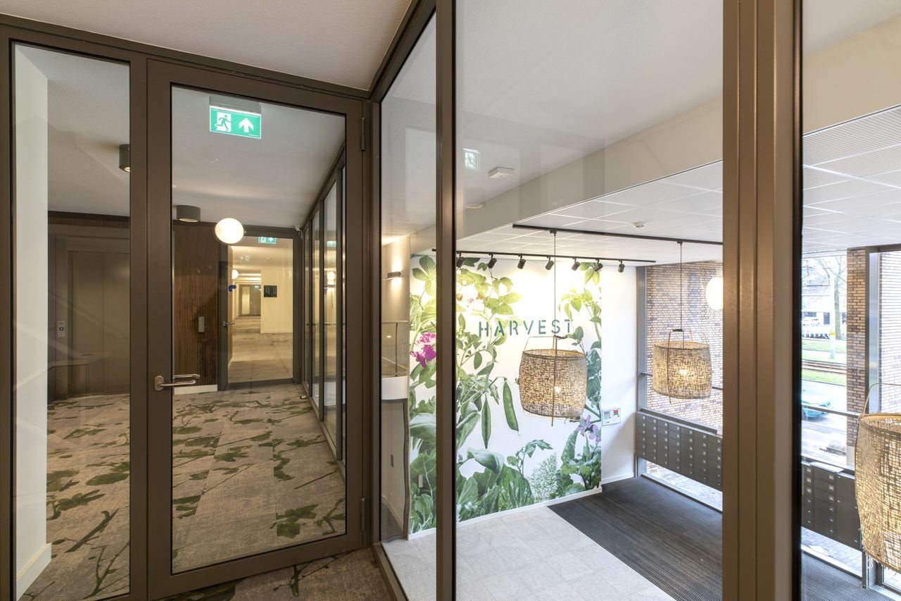 Royaal 3-kamer appartement met binnentuin - Afbeelding 5