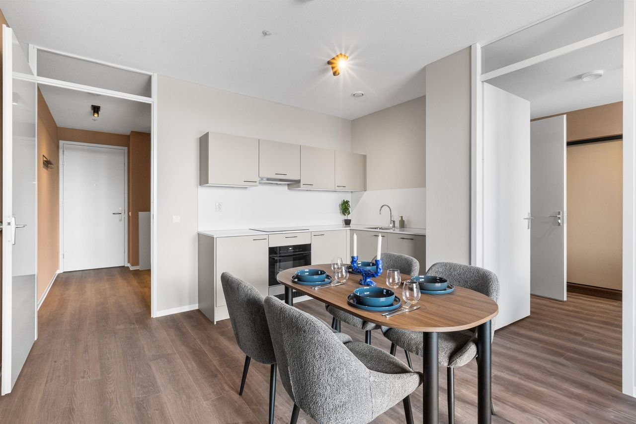 Modern 1-slaapkamerappartement in Kralingen - Afbeelding 2