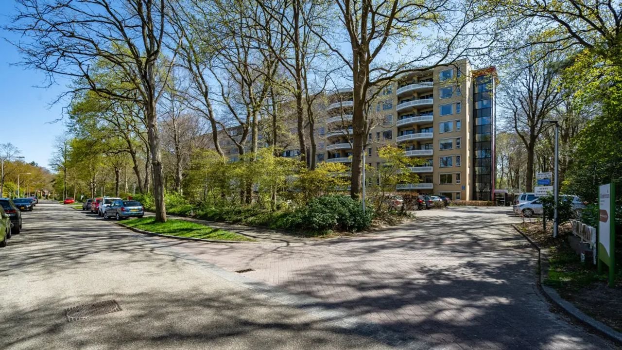 Bright 55+ apartment in Hoge Dennen - Image 1