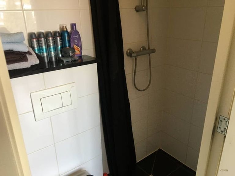 Licht appartement met erker in Bezuidenhout - Afbeelding 5