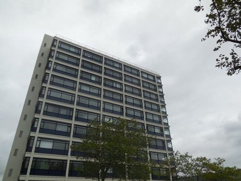 Lichte kamer van 21m² bij Haagse Hogeschool - Afbeelding 2