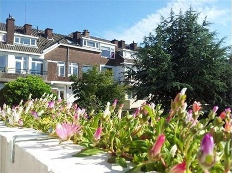 Studio with private kitchen near Laan van NOI - Image 2