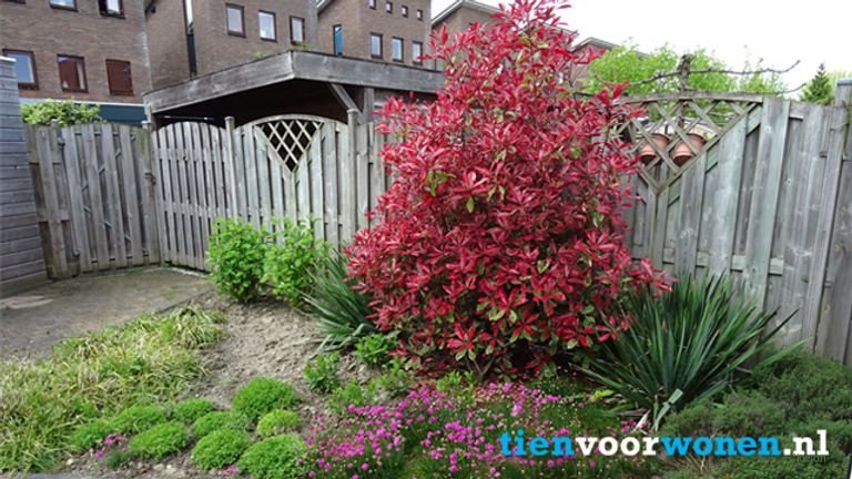 Spacious home with south-facing garden in De Landerijen - Image 19