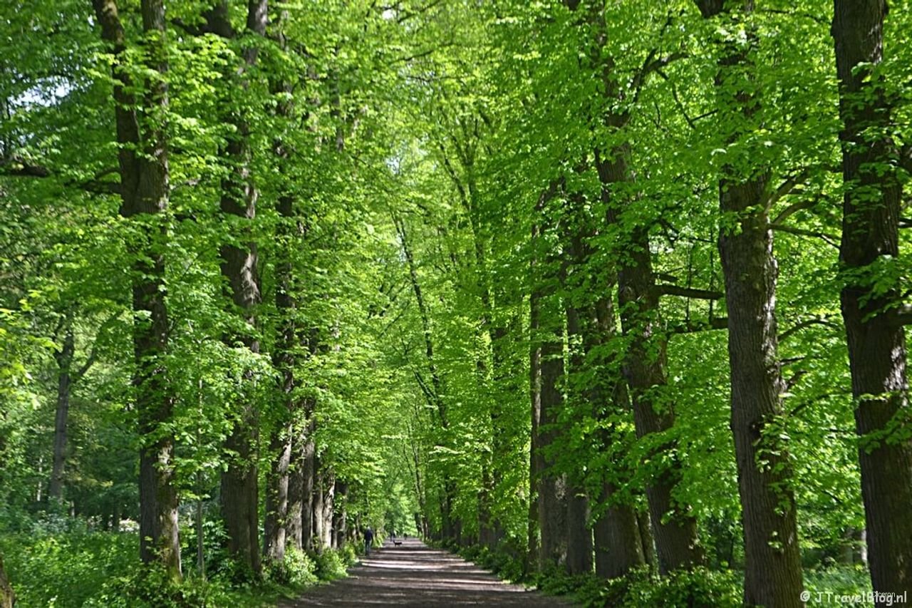 Heemstede: 260m² wonen aan het bos - Afbeelding 11