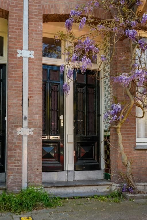 Drie slaapkamers en dakterras in Oud-West - Afbeelding 2