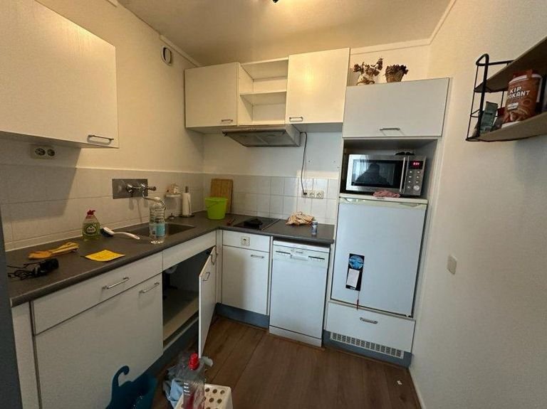 Gerenoveerd appartement met balkon in De Wijert - Afbeelding 6