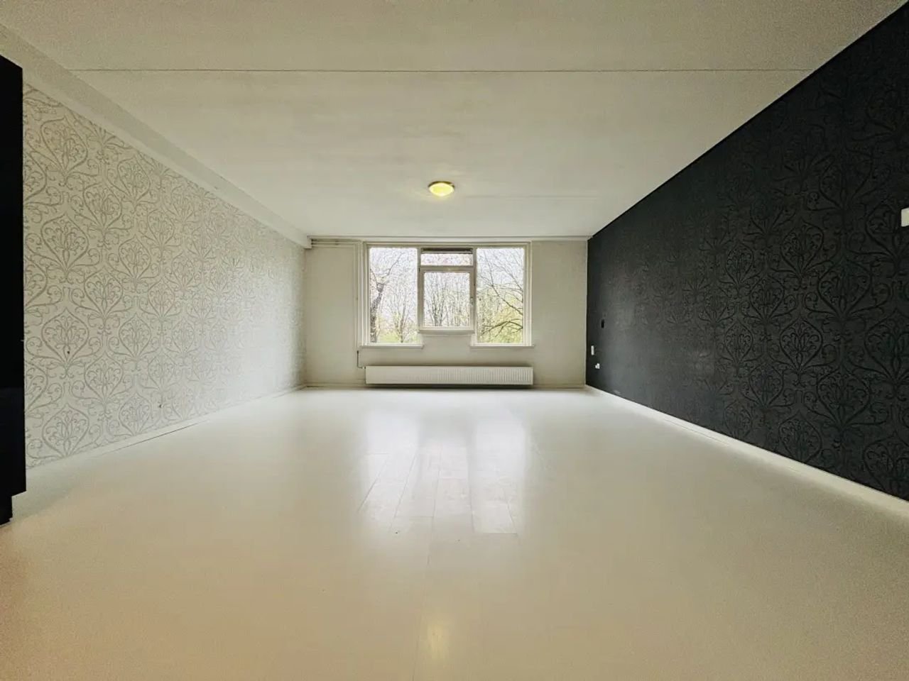 2-kamer appartement vlak bij Kijkduin - Afbeelding 3
