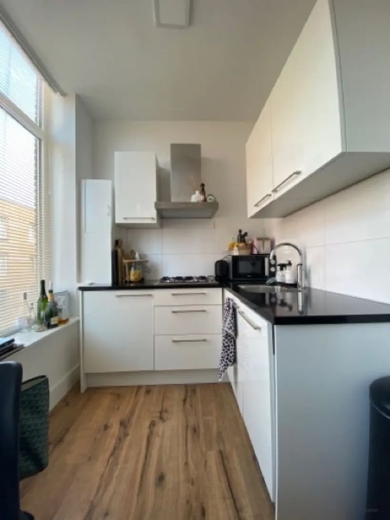 Studio met label A in Valkenboskwartier - Afbeelding 3