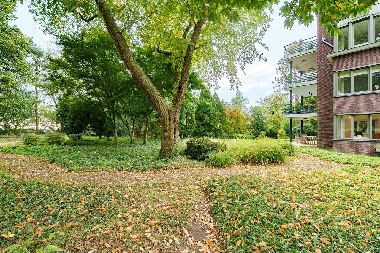 Spacious living (228m²) facing the Arboretum - Image 39